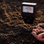 De ce este importantă analiza solului înainte de a construi